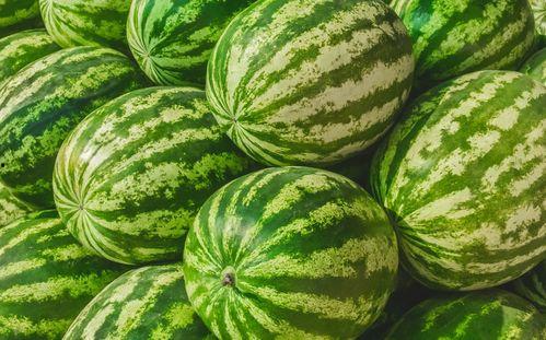 近期吃瓜视频 每日大赛,揭秘近期热门视频幕后故事